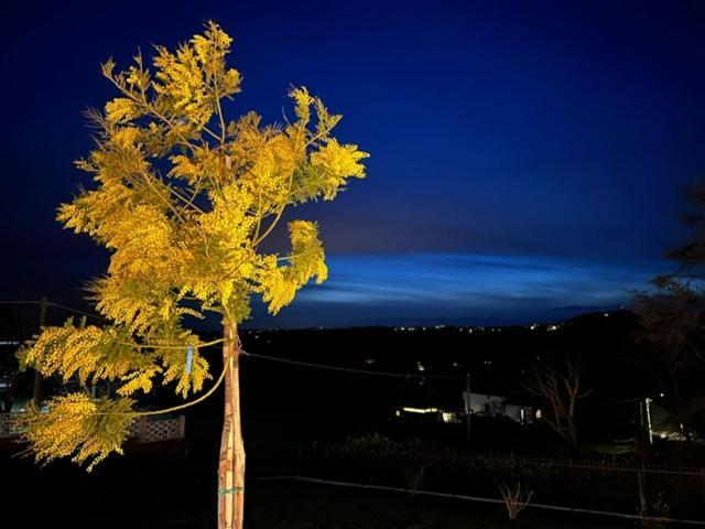 Ermitage La Suite-Hermitage Al Tramonto-Hermitage Tra Le Vigne Cioccaro Di Penango Екстер'єр фото
